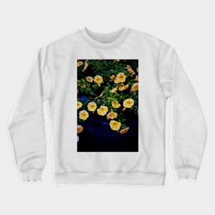 Highlights Crewneck Sweatshirt